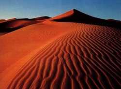 Desert Fun Facts - Desert Biome